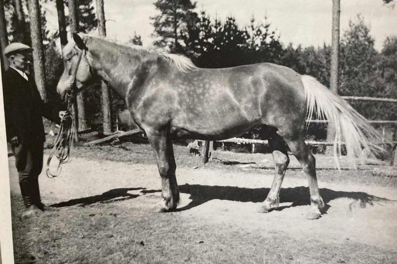 Eino Häkkinen and his horse