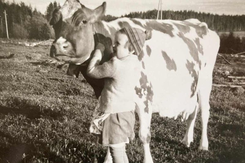 Eiro and her cow Kirjo