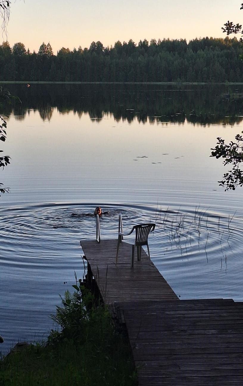 Maalaistalo Sipilä cooling in the lake from the sauna